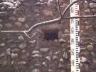 City Wall Survey
