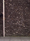 City Wall Survey
