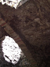 City Wall Survey
