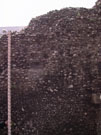 City Wall Survey