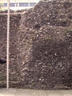 City Wall Survey