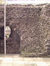 City Wall Survey