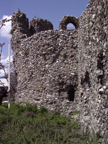 City Wall Survey