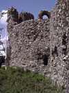 City Wall Survey