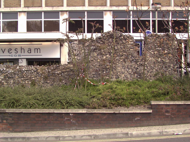 City Wall Survey