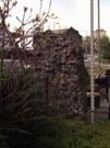 City Wall Survey