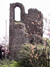 City Wall Survey