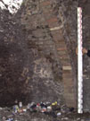 City Wall Survey