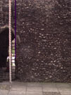 City Wall Survey