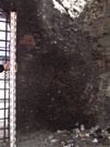 City Wall Survey