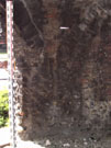 City Wall Survey