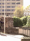 City Wall Survey