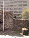 City Wall Survey
