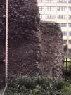 City Wall Survey