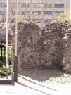 City Wall Survey