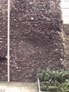 City Wall Survey