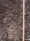 City Wall Survey