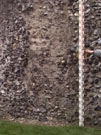 City Wall Survey