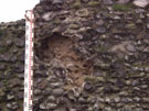 City Wall Survey