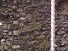 City Wall Survey