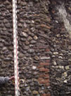 City Wall Survey