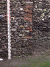 City Wall Survey