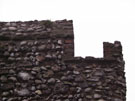 City Wall Survey