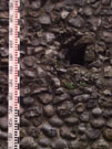 City Wall Survey