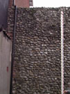 City Walls Survey
