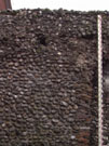 City Walls Survey