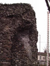 City Walls Survey