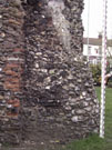 City Walls Survey
