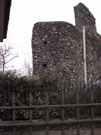 City Walls Survey