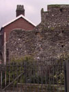 City Walls Survey
