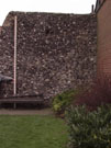 City Walls Survey