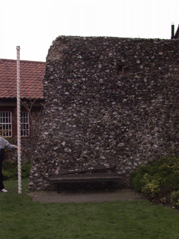 City Wall Survey