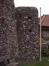 City Walls Survey