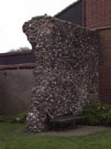 City Wall Survey