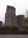 City Wall Survey