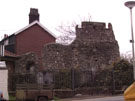 City Wall Survey