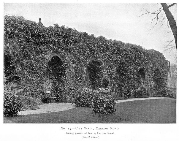 City Wall Survey