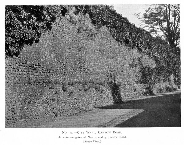 City Wall Survey