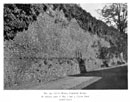 City Wall Survey