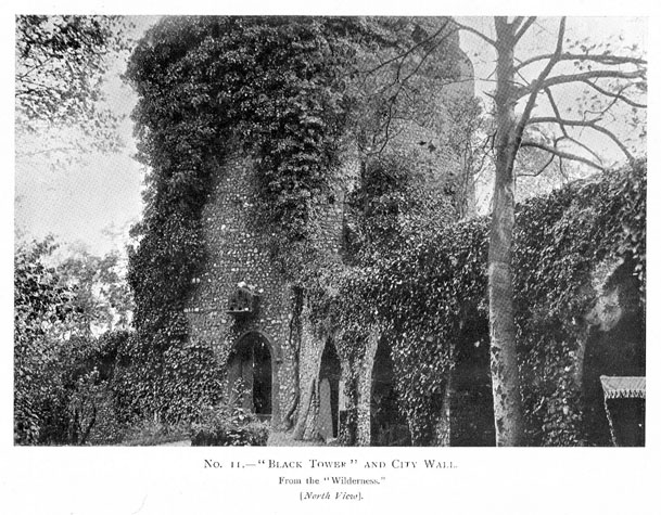 City Wall Survey