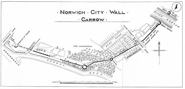 City Wall Survey