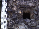 City Wall Survey
