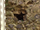 City Wall Survey
