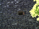 City Wall Survey
