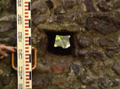 City Wall Survey