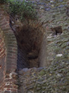 City Wall Survey